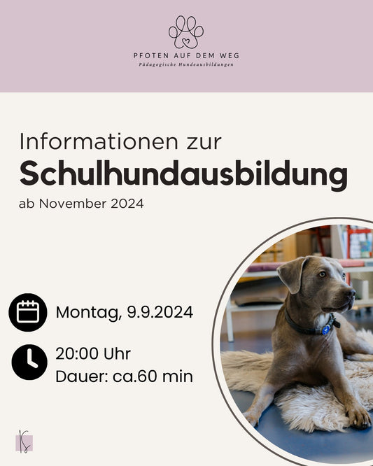 Informationen zur Schulhundausbildung - Kunstundstunde